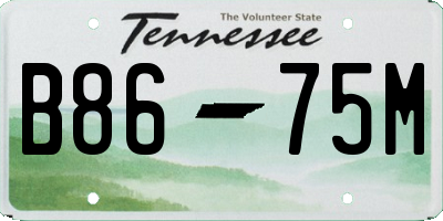 TN license plate B8675M