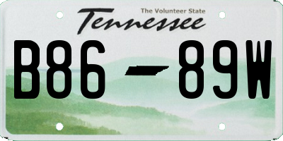 TN license plate B8689W