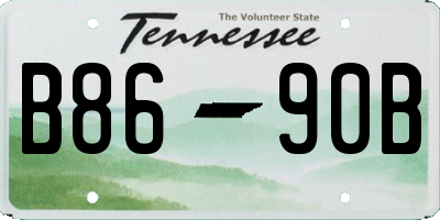 TN license plate B8690B