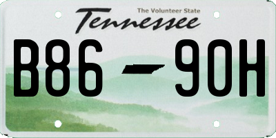 TN license plate B8690H