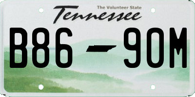 TN license plate B8690M
