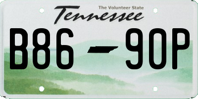 TN license plate B8690P