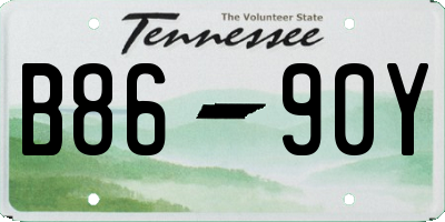 TN license plate B8690Y