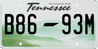TN license plate B8693M