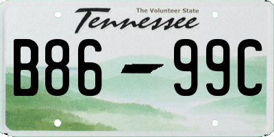 TN license plate B8699C