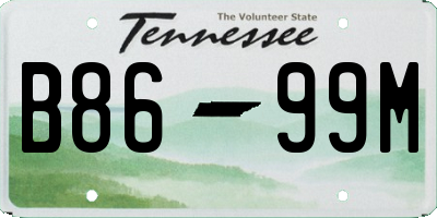 TN license plate B8699M