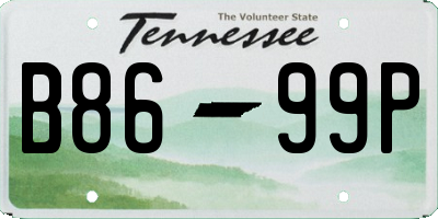 TN license plate B8699P