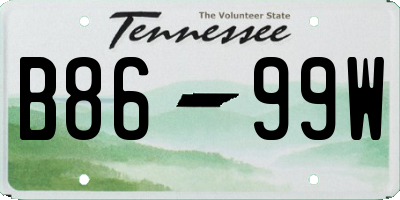 TN license plate B8699W