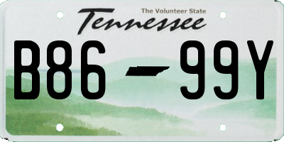 TN license plate B8699Y