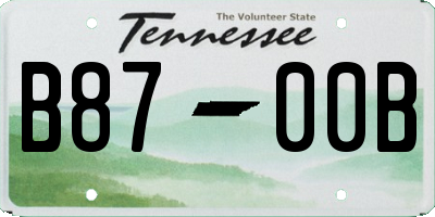 TN license plate B8700B
