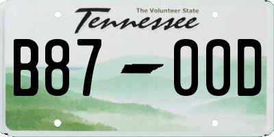 TN license plate B8700D