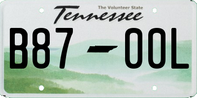 TN license plate B8700L
