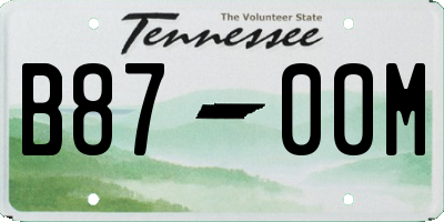 TN license plate B8700M