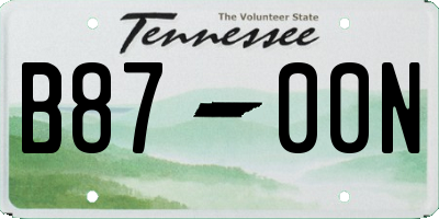 TN license plate B8700N