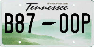 TN license plate B8700P