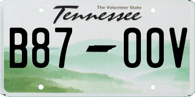 TN license plate B8700V