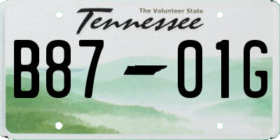 TN license plate B8701G