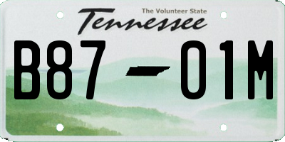 TN license plate B8701M