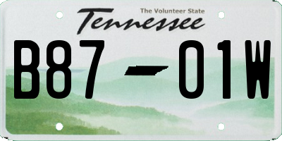 TN license plate B8701W