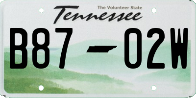 TN license plate B8702W