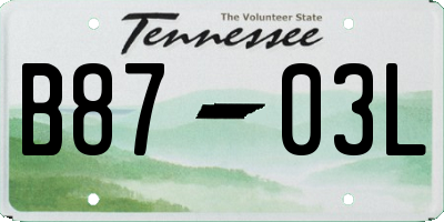 TN license plate B8703L