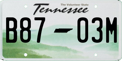 TN license plate B8703M