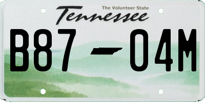 TN license plate B8704M