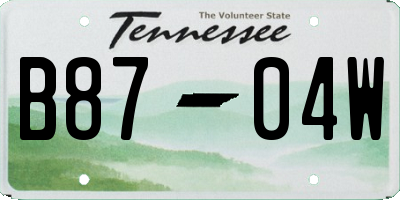 TN license plate B8704W