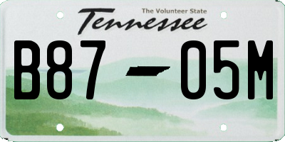 TN license plate B8705M