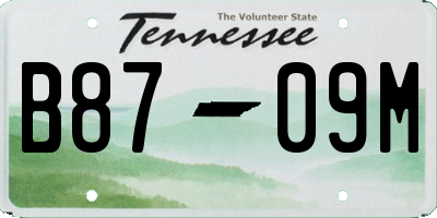 TN license plate B8709M