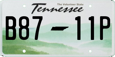 TN license plate B8711P