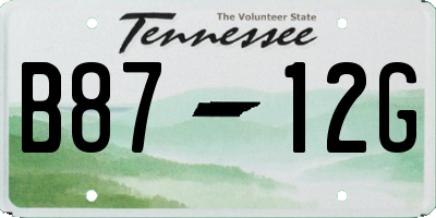 TN license plate B8712G