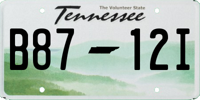 TN license plate B8712I