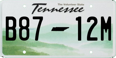 TN license plate B8712M