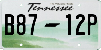 TN license plate B8712P