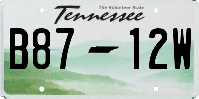 TN license plate B8712W