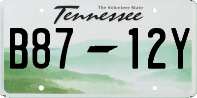 TN license plate B8712Y