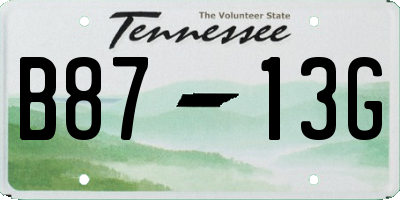 TN license plate B8713G