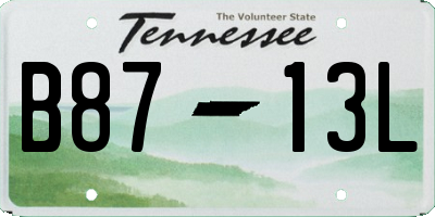 TN license plate B8713L