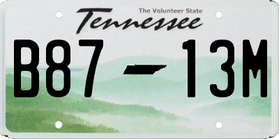 TN license plate B8713M