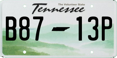 TN license plate B8713P