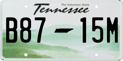 TN license plate B8715M