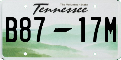 TN license plate B8717M
