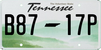 TN license plate B8717P