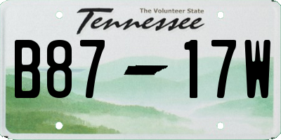 TN license plate B8717W