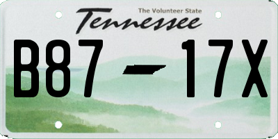 TN license plate B8717X