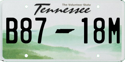 TN license plate B8718M