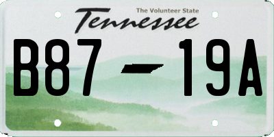 TN license plate B8719A
