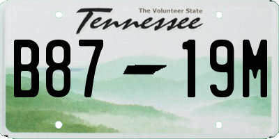 TN license plate B8719M
