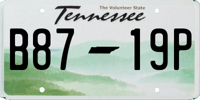 TN license plate B8719P